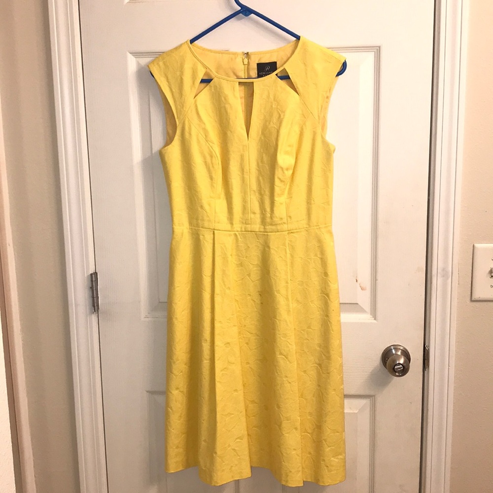 Adrianna Papell Dress